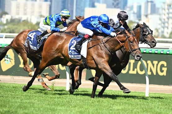 All-Star Mile winner Tom Kitten joins Anthony and Sam Freedman ahead of the spring.