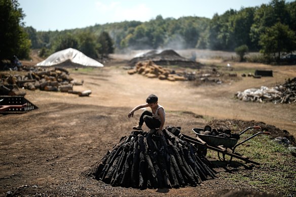 Yakoub Durak stacks wood into a pile at a charcoal production site in a forest in Kocaeli province, Turkey. A handful of family-run producers continue the region’s traditional practice of slowly carbonizing hardwood in earthen kilns to make charcoal for barbecues and restaurants.