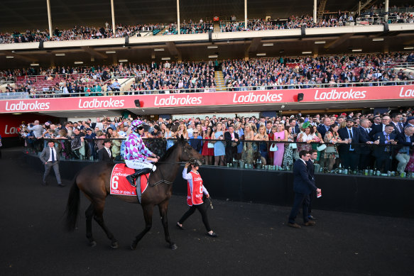 Declan Bates parades Pride of Jenni before the Moonee Valley crowd.