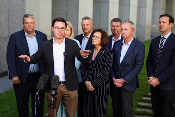 Nationals leader David Littleproud addresses the media after the net zero policy change on Sunday.