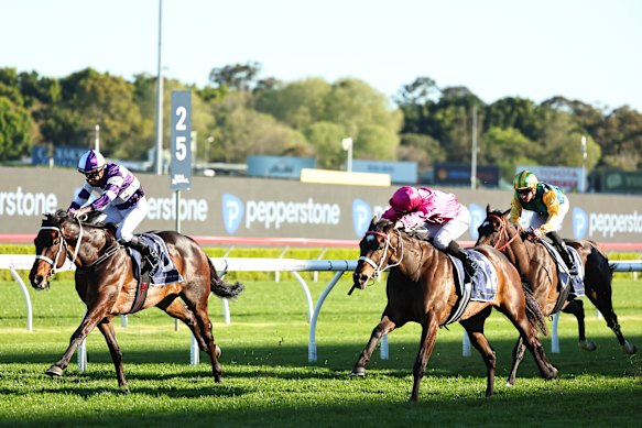 Lindermann tries to hold off Fangirl in the 7 Stakes.