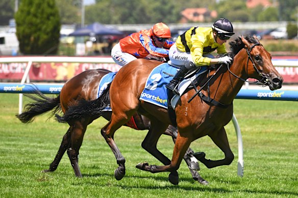 Two-year-old filly Streisand wins the Blue Diamond prelude at Caulfield on Saturday, February 7.