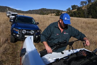 A local Land Services trapper during a hog trapping operation in the Megalong Valley last year.