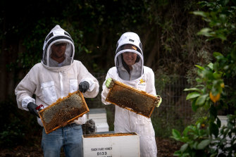 Beekeepers Mary Trumble and Henry Fried on the Burnley campus of the University of Melbourne.