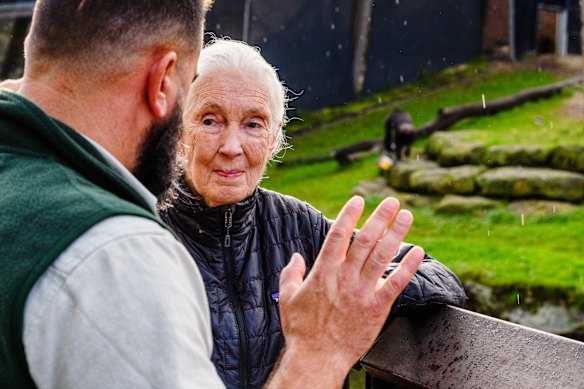 Jane Goodall with Richard Buzas - supervisor of primates at the chimpanzee enclosure in Taronga Zoo last year.