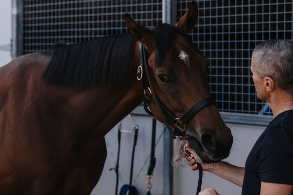 French raider Lazzat is unbeaten. 