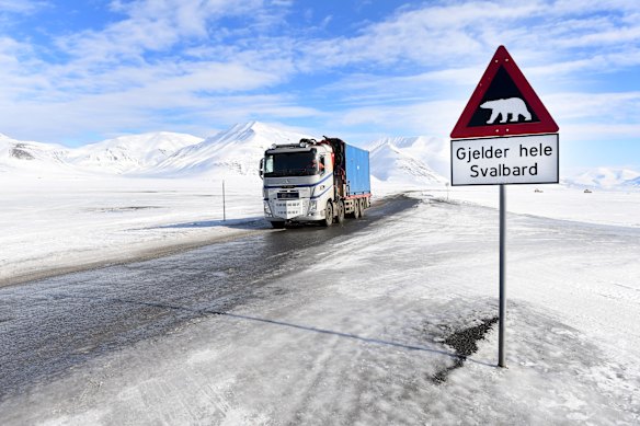 Svalbard is home to about 3000 polar bears.