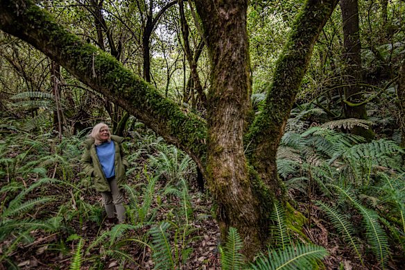 Gayle Osborne lives on a bush block adjoining the Wombat State Forest.