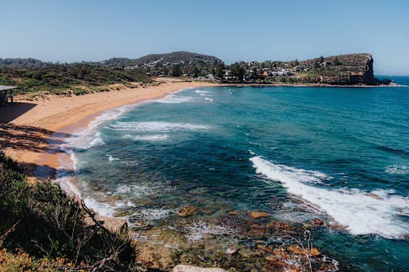 Avalon won the crown as the cleanest beach in Sydney in the Herald’s analysis of BeachWatch data released in October.