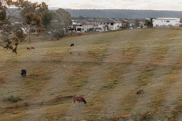  “a paddock with street signs”. 