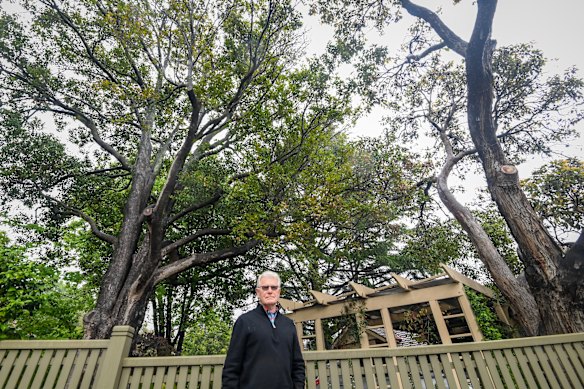 Ray Peck, a member of Lighter Footprints’ urban forest working group, outside a property in Camberwell with good canopy cover.
