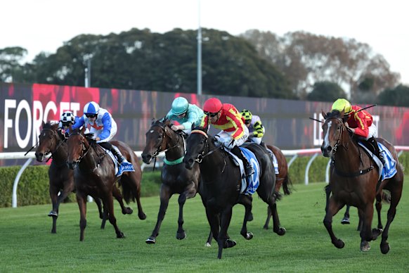 A seven-race meet is on at Kensington. 