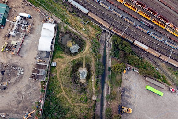 The frog sanctuary in Greenacre is surrounded by industry and the rail line for the intermodal port.