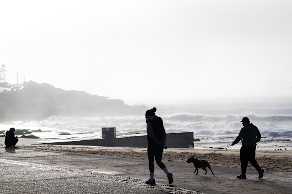 Authorities converged on Maroubra shortly after 4am.
