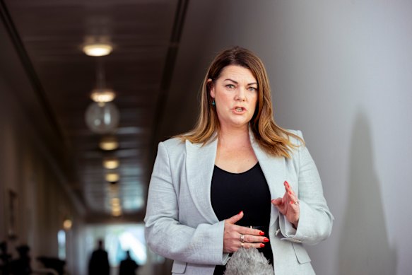 Senator Sarah Hanson-Young became embroiled in the expenses saga in late 2025.