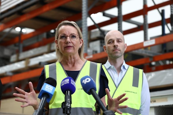 Opposition Leader Sussan Ley at a press conference in Sydney on Wednesday.
