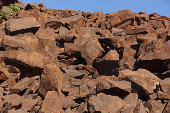 One of the engravings at the rock art gallery in Murujuga national park.
