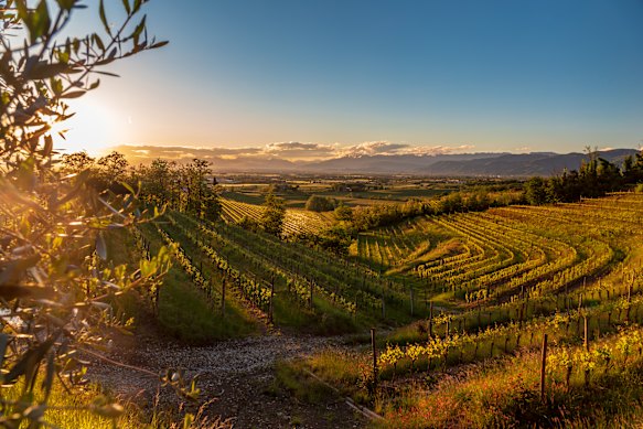 A taste of alpine Austria … Friuli-Venezia Giulia.