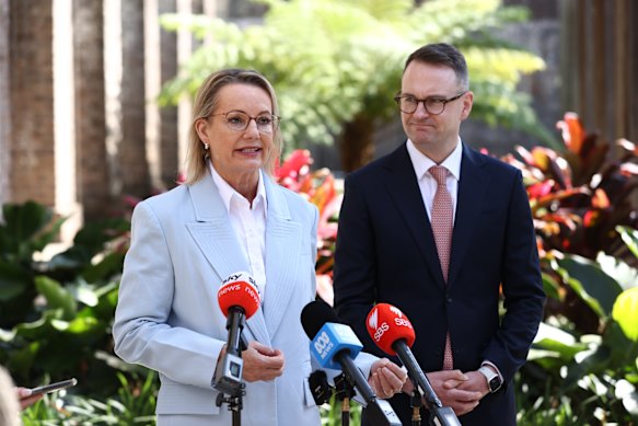 Coalition leader Sussan Ley.