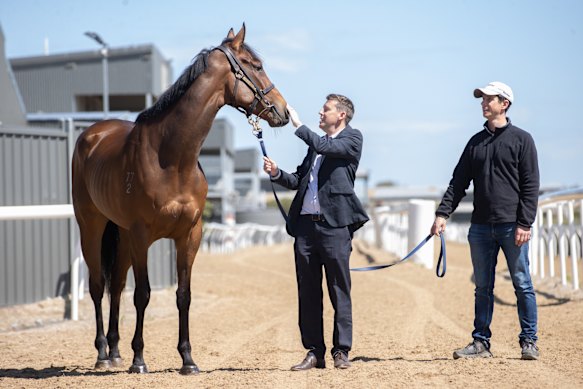 Heath Linton has shares in Engine of War, which is running in Saturdays Victoria Derby, trained by Michael Kent.