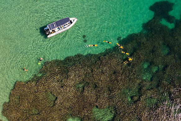 Snorkelling tours around Great Keppel Island.