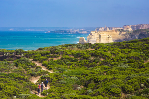 Following the track in the Great Otway National Park.
