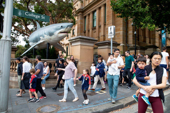 Visitor numbers have soared at the Australian Museum under McKay’s leadership.