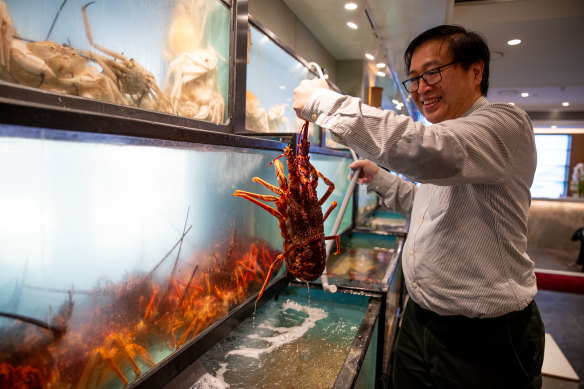 Live seafood tanks are with lobster and crab at Royal Palace.