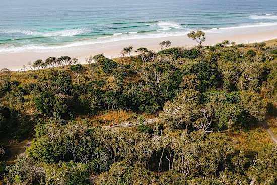 Zephyr Horses, Byron Bay.