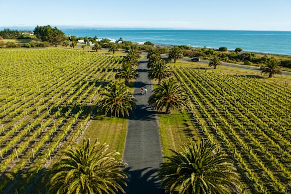 Elephant Hill winery.