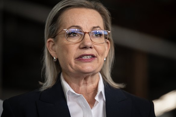 Opposition Leader Sussan Ley moved ahead of conservatives in her party to open a debate about migration just hours after landing a position on emissions.