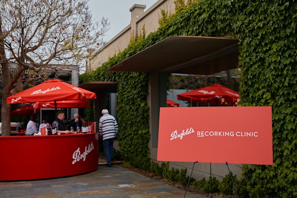 The recorking clinic at Penfolds Magill Estates in Adelaide, November 2025.