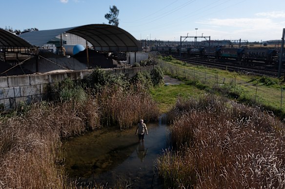 Dr Arthur White standing in a basin that is part of a frog sanctuary on former industrial land in Greenacre.
