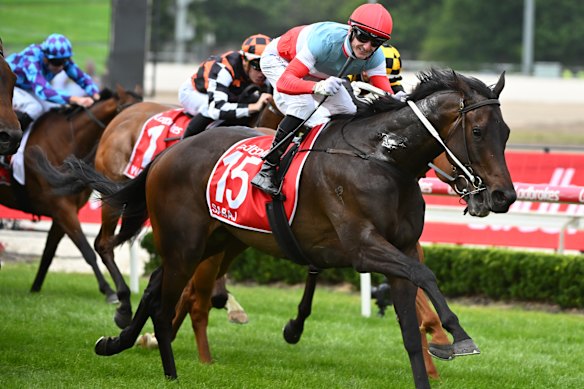 Beau Mertens celebrates winning on Sabaj in the Cranbourne Cup on November 22.