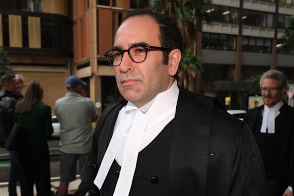 Woolworths lead barrister, Robert Yezerski, SC, capitalised on the judge’s concerns about the consumer watchdog’s case.