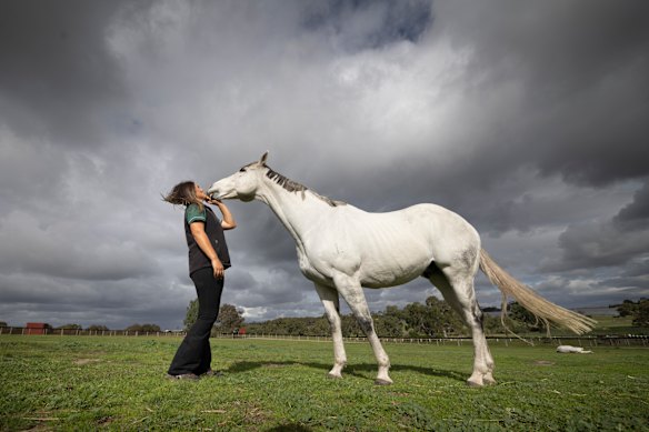 Veterinary nurse Molly Stewart with retired racehorse Chautauqua at Living Legends.