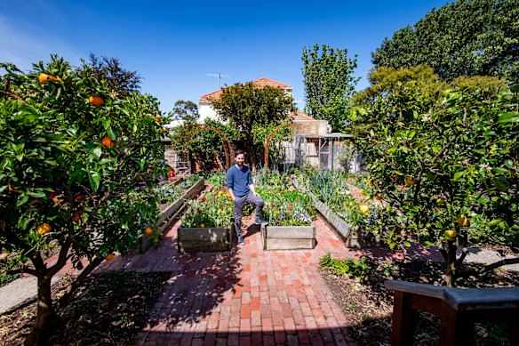Tom Midwood is growing vegetables, herbs and flowers.
