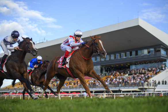 The Queensland governemnt has launched a review into the state’s horse and greyhound racing, promising to ensure both the industry’s future and high standards of animal welfare.