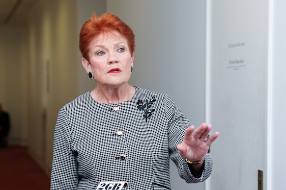 Pauline Hanson migration policy: One Nation leader's conflicting comments  on migration and visas