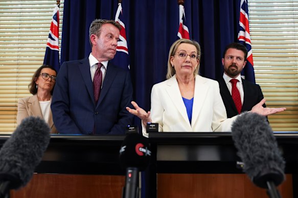 Anne Ruston, Dan Tehan, Sussan Ley and Jonno Duniam announce the Liberal Party’s policy platform.