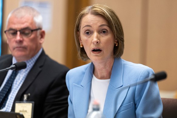 Vicki Brady before senators in an inquiry into Triple Zero services in December last year.