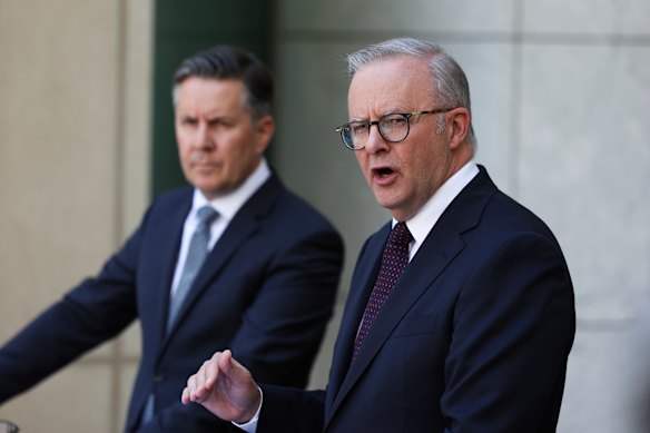 Minister for Health and Aged Care Mark Butler and Prime Minister Anthony Albanese announce the measures on Wednesday.