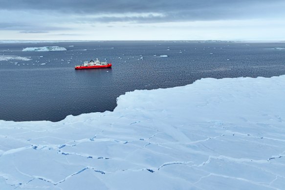 There was 70 per cent less sea ice at Denman Glacier in March 2025.