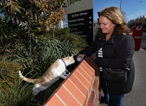 Juliette Williams, owner of Elwood the cat, pictured with him outside at Epworth hospital in Richmond.