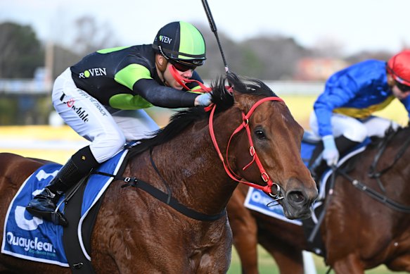 Tom Prebble finishes second on The Black Cloud in a race at Caulfield in June.