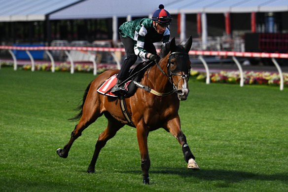 Star jockey James McDonald aboard Via Sistina on Tuesday morning.