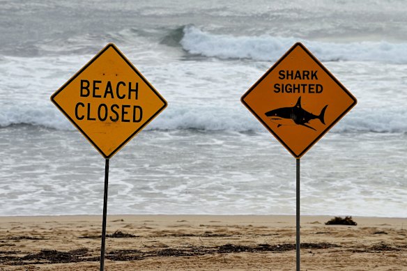 Too little, too late? Beach closed signs at Manly Beach.