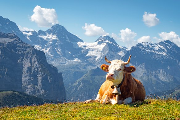 Crossing the Alps, in the footsteps of Byron.