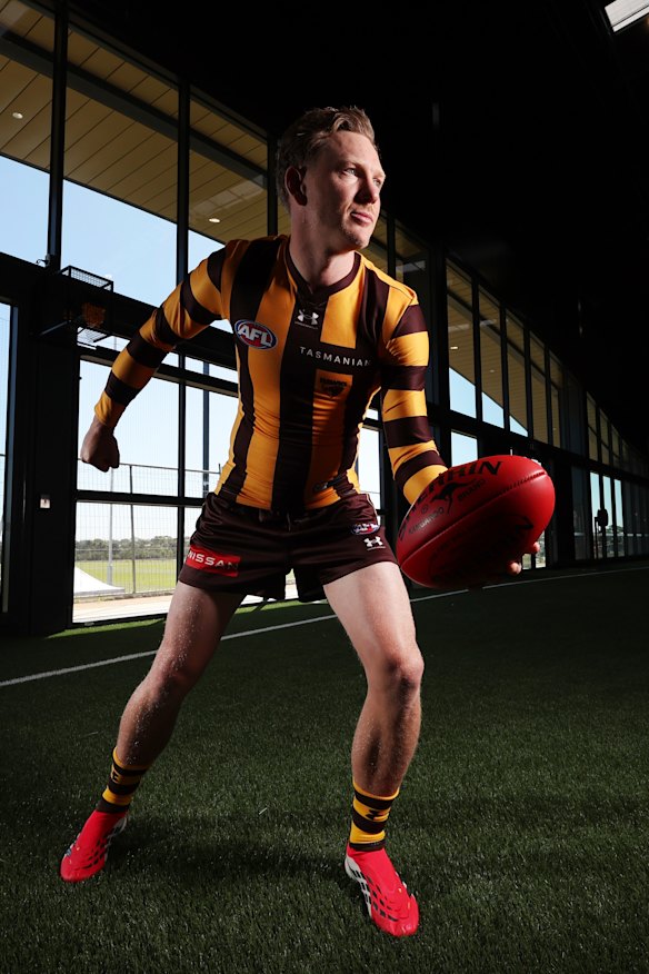 Hawthorn co-captain James Sicily. 