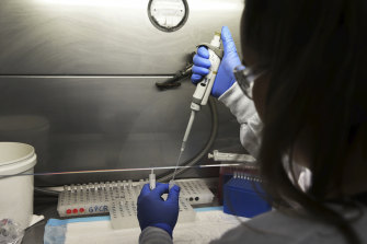 A technical officer at SydPath sets up a coronavirus test.